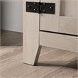 Sauder Engineered Wood TV Stand in Chalked Chestnut Finish