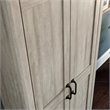 Sauder Engineered Wood 2-Door Storage Cabinet in Spring Maple Finish