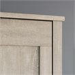 Sauder Engineered Wood 2-Door Storage Cabinet in Spring Maple Finish
