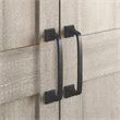 Sauder Engineered Wood 2-Door Storage Cabinet in Spring Maple Finish