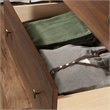 Sauder River Ranch Engineered Wood 4 Drawer Chest in Grand Walnut
