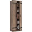 Sauder HomePlus 2-Barn Door Engineered Wood Narrow Storage Cabinet in Salt Oak