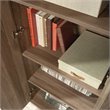 Sauder HomePlus 2-Barn Door Engineered Wood Narrow Storage Cabinet in Salt Oak