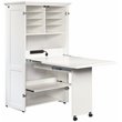 Sauder Select Engineered Wood Multi-Purpose Storage Armoire in Glacier White