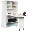 Sauder Select Engineered Wood Multi-Purpose Storage Armoire in Glacier White