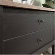 Sauder Cottage Road Engineered Wood Lateral File in Raven Oak