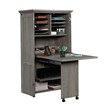 Sauder Select Engineered Wood Storage Craft Armoire in Mystic Oak