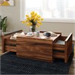 Sauder Manhattan Gate Engineered Wood Coffee Table in Blaze Acacia/Brown