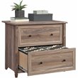 Sauder Edge Water Engineered Wood 2-Drawer Lateral File Cabinet in Washed Walnut