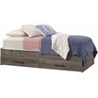 Sauder Summit Station Engineered Wood Twin Mates Bed in Pebble Pine