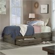 Sauder Summit Station Engineered Wood Twin Mates Bed in Pebble Pine