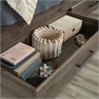 Sauder Summit Station Engineered Wood Twin Mates Bed in Pebble Pine