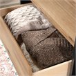 Sauder Acadia Way 4-Drawer Chest in Raven Oak with Timber Oak accents
