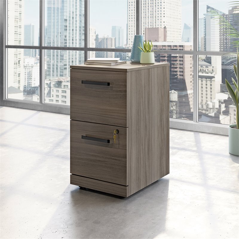 Sauder Affirm Engineered Wood 2-Drawer Mobile Filing Cabinet in Hudson Elm/Brown