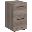 Sauder Affirm Engineered Wood 2-Drawer Mobile Filing Cabinet in Hudson Elm/Brown