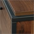 Sauder Nova Loft Engineered Wood Lateral Filing Cabinet in Grand Walnut