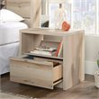 Sauder Harvey Park Engineered Wood Bedroom Nightstand in Pacific Maple