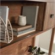 Sauder Cannery Bridge Engineered Wood Hutch in Sindoori Mango/Brown