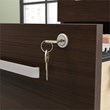 Sauder Affirm Engineered Wood 3-Drawer Mobile Filing Cabinet in Noble Elm/Brown