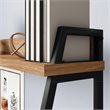 Sauder North Avenue Engineered Wood Desk with Hutch in Sindoori Mango/Brown