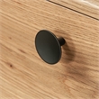 Sauder Dover Edge Transitional Engineered Wood Desk in Timber Oak