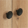 Sauder Dover Edge Engineered Wood Armoire in Timber Oak Finish