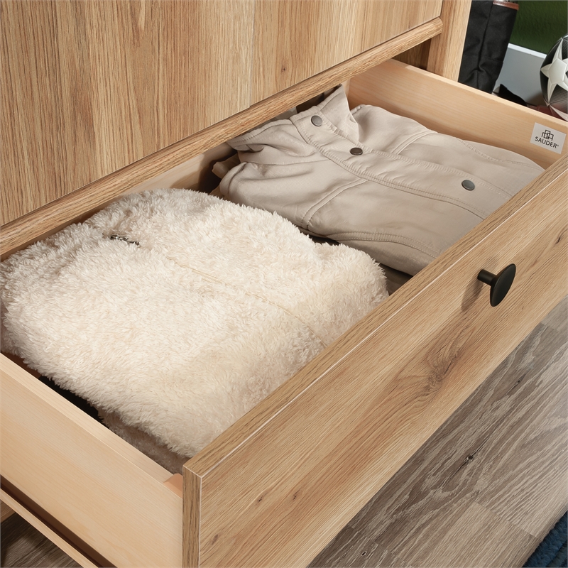 Sauder Dover Edge Engineered Wood Armoire in Timber Oak Finish