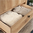 Sauder Dover Edge Engineered Wood Armoire in Timber Oak Finish
