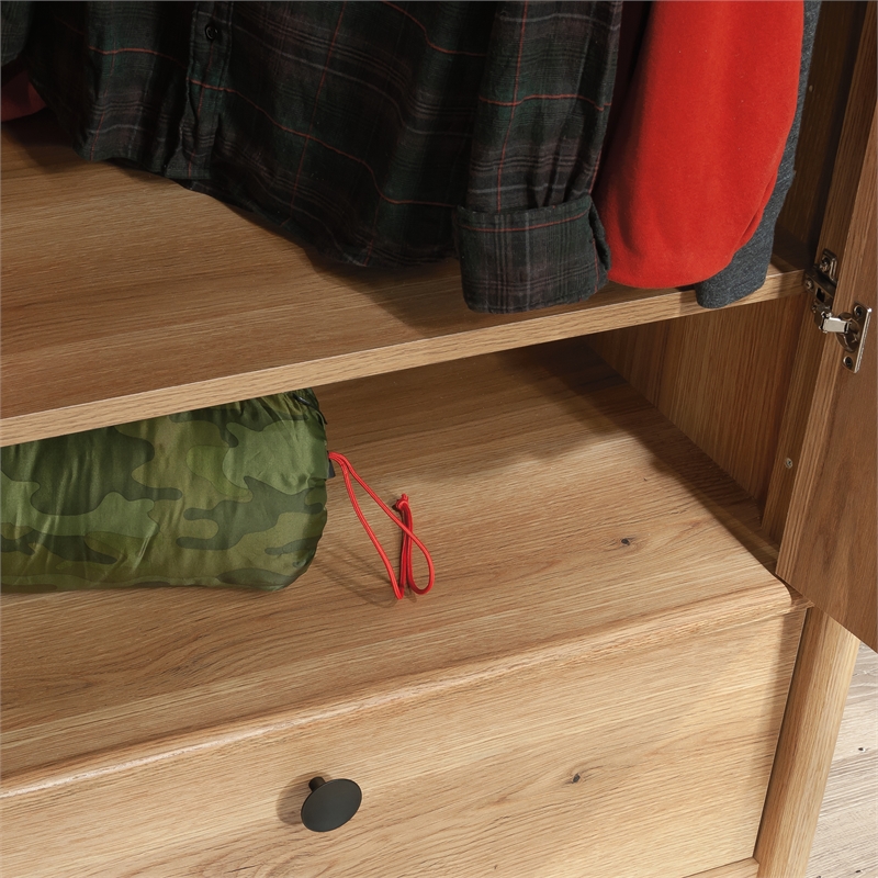 Sauder Dover Edge Engineered Wood Armoire in Timber Oak Finish