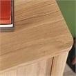 Sauder Dover Edge Engineered Wood Armoire in Timber Oak Finish