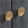 Sauder Dover Edge Engineered Wood Armoire in Denim Oak