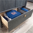 Sauder Dover Edge Engineered Wood Armoire in Denim Oak