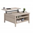 Sauder East Adara Engineered Wood Lift Top Coffee Table in Cascade Oak Finish