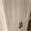 Sauder Engineered Wood 2-Door Storage Cabinet in Chalk Oak Finish