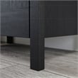 Sauder Select Engineered Wood 2-Door Storage Cabinet in Raven Oak