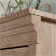 Sauder Rollingwood Engineered Wood Library Hutch in Brushed Oak Finish