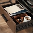 Sauder Canton Lane Engineered Wood and Metal L-Desk in Brew Oak