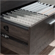 Sauder Rock Glen Engineered Wood and Metal Lateral File in Blade Walnut