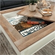 Sauder Cottage Road Engineered Wood Gaming Coffee Table in Soft White