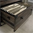 Sauder Foundry Road Engineered Wood/Metal Lateral File in Carbon Oak