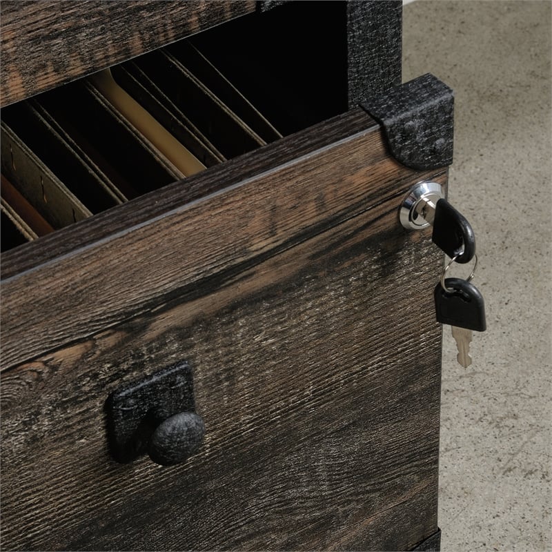 Sauder Foundry Road Engineered Wood/Metal Lateral File in Carbon Oak