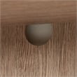 Sauder Dixon City Engineered Wood Library Hutch in Brushed Oak Finish