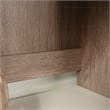 Sauder Dixon City Engineered Wood Library Hutch in Brushed Oak Finish