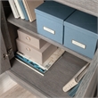 Sauder Hayes Garden Engineered Wood Base Cabinet in Ashen Oak Finish