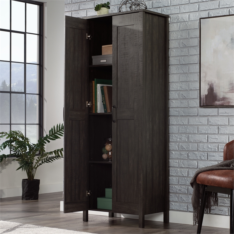 Sauder Select Engineered Wood Storage Cabinet in Blade Walnut Finish