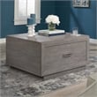 Sauder Hayes Garden Engineered Wood Coffee Table in Ashen Oak Finish