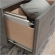 Sauder Hayes Garden Engineered Wood Coffee Table in Ashen Oak Finish