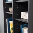 Sauder Homeplus Engineered Wood Storage Cabinet in Raven Oak Finish
