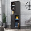 Sauder Homeplus Engineered Wood Storage Cabinet in Raven Oak Finish