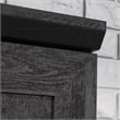 Sauder Homeplus Engineered Wood Storage Cabinet in Raven Oak Finish